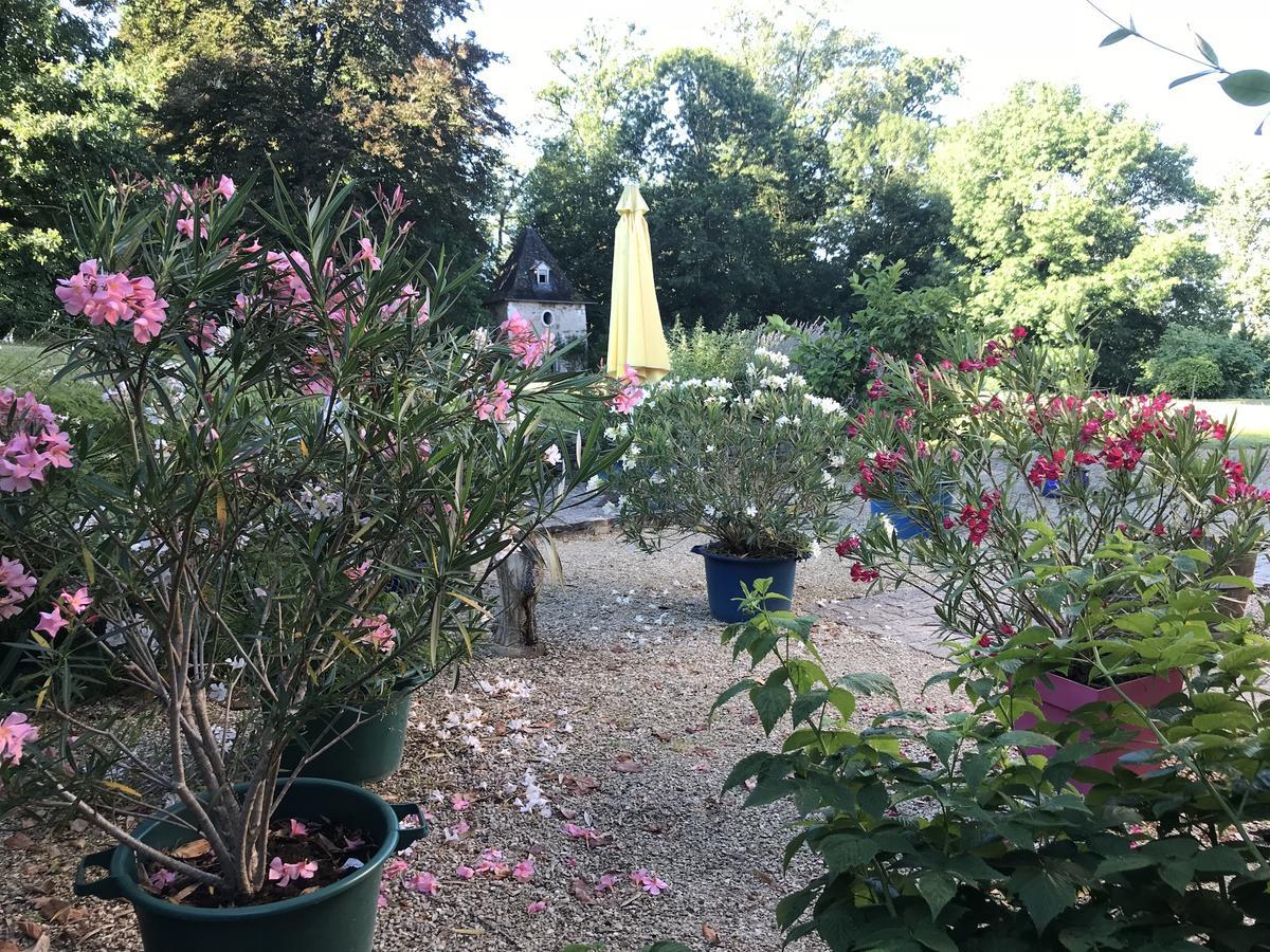 Serendipity Bed and Breakfast Saint-Clement  Exteriör bild